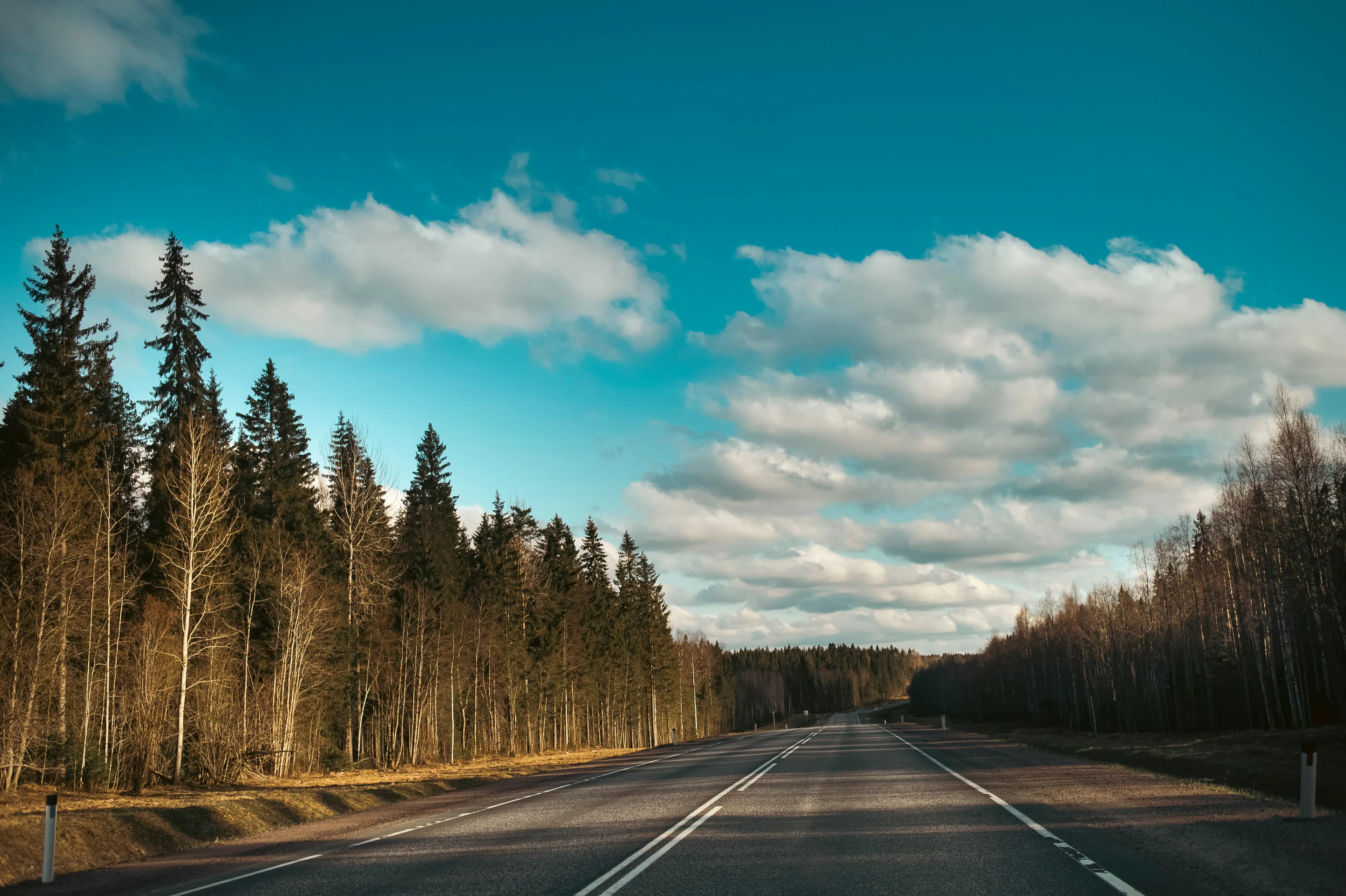 003_asphalt.webp