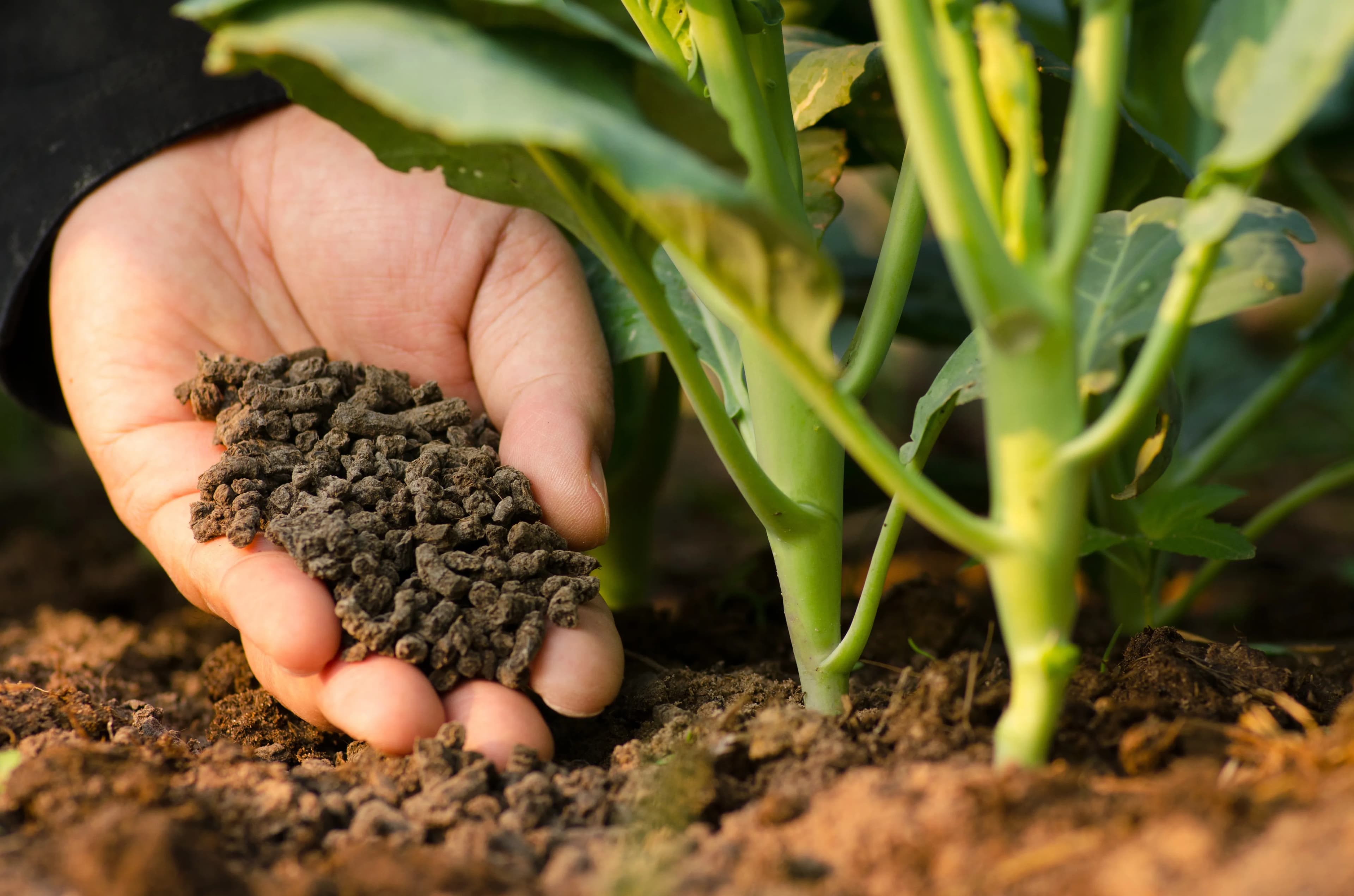 017_fertilizer.webp